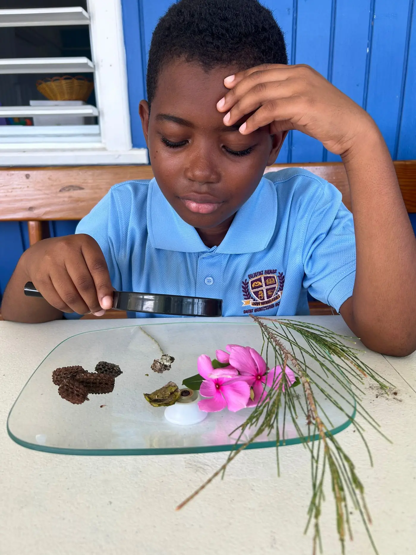 Child Focused Learning